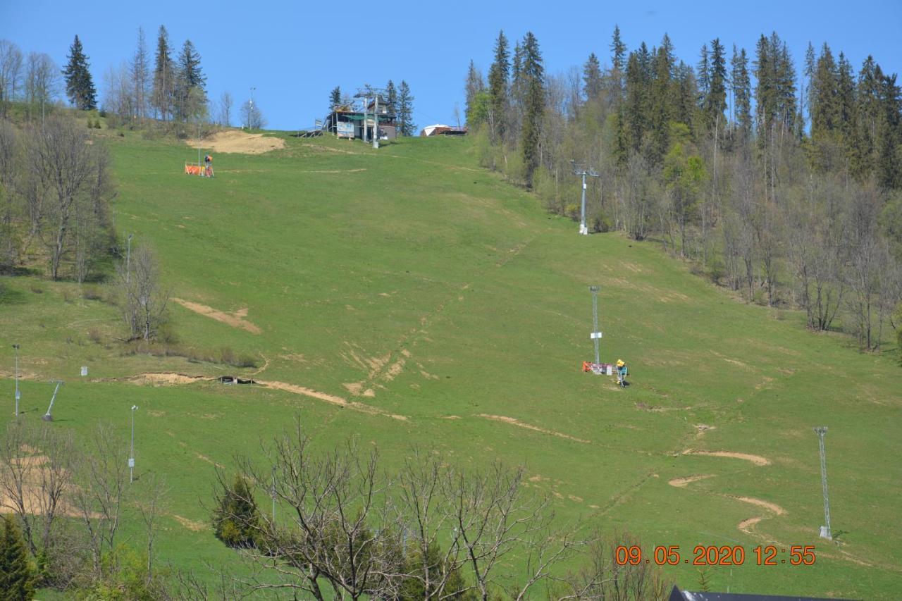 Willa Wiktoria 2 Zakopane Dış mekan fotoğraf
